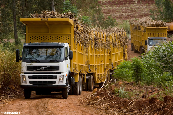 SP regulariza transporte de cana-de-açúcar em composição de veículos de até 91 toneladas