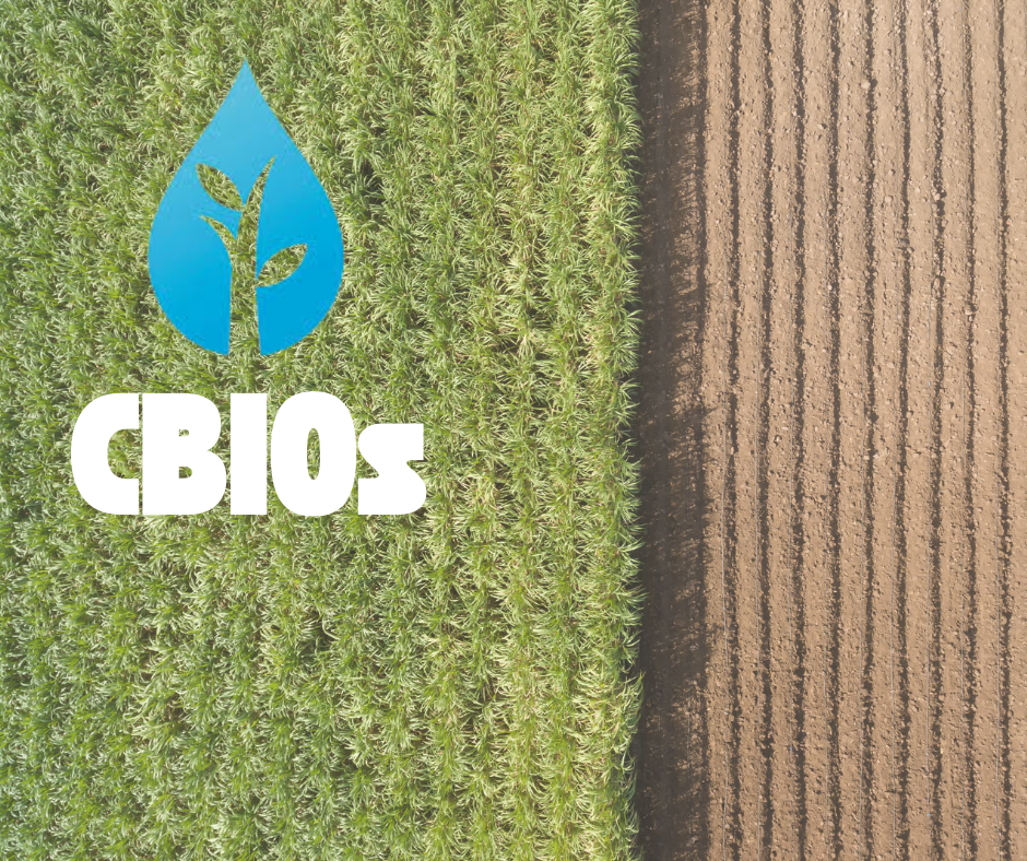 Relator do PL dos CBios garante que apresentará relatório favorável ao produtor rural