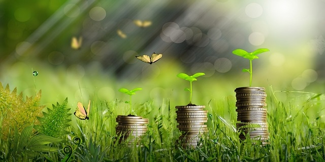 Brasil lança a primeira bolsa de crédito de carbono do mundo
