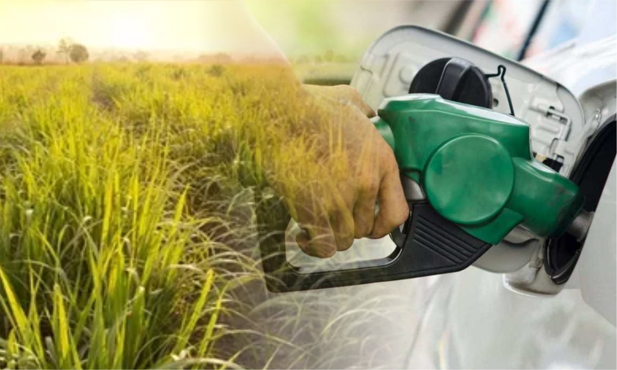 Mercado de etanol vive momento mais construtivo, segundo Datagro