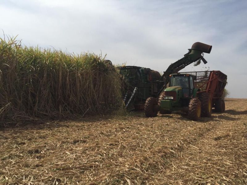 Setor sucroalcooleiro tem maior participação nas exportações do agro de SP