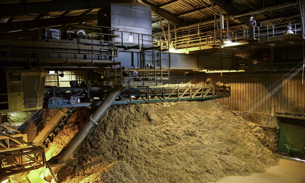 Biomassa da cana-de-açúcar é a quarta matriz energética brasileira