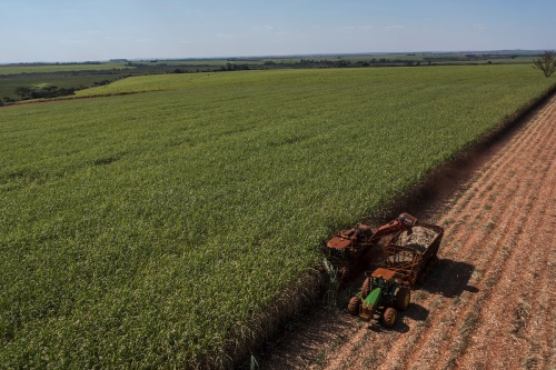 Safra 23/24 no Centro-Sul do Brasil mantém trajetória de crescimento