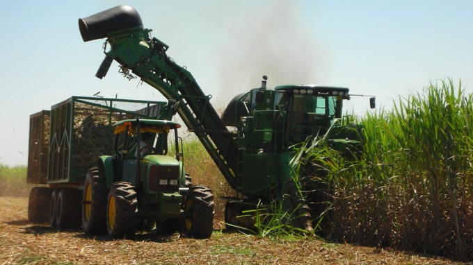 Datagro prevê recordes para moagem de cana e produção de açúcar do centro-sul em 23/24