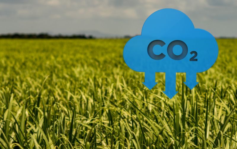 Etanol, RenovaBio e captura de carbono em biorrefinarias: o tripé para emissões negativas