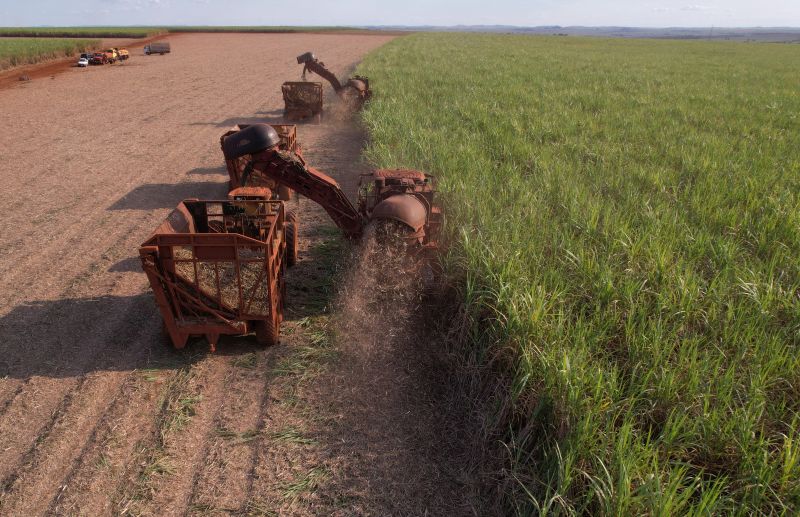 Lavouras contratadas pela Usina Enersugar apresentam expressivo aumento na produtividade da cana