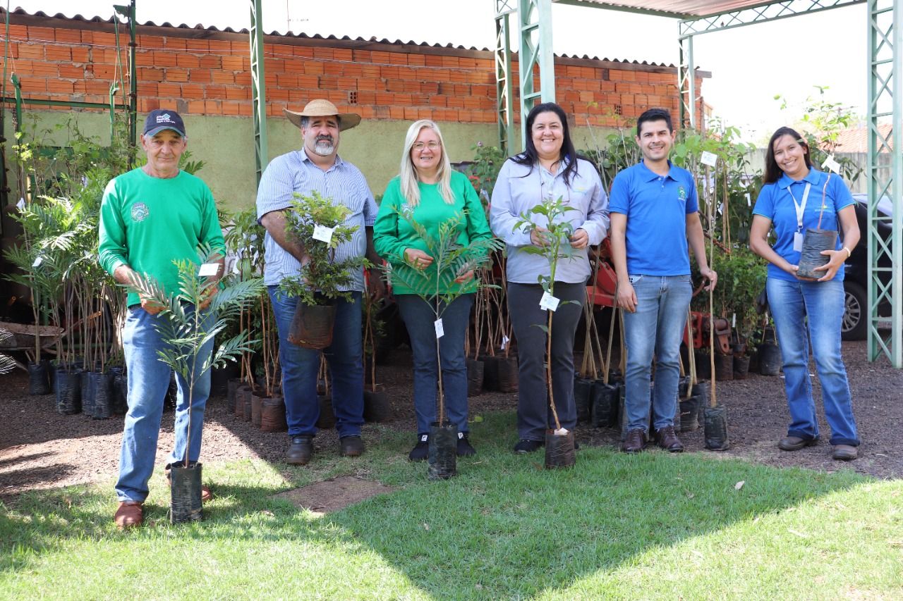 Projeto da Enersugar doa mudas para arborização urbana de Ibirarema
