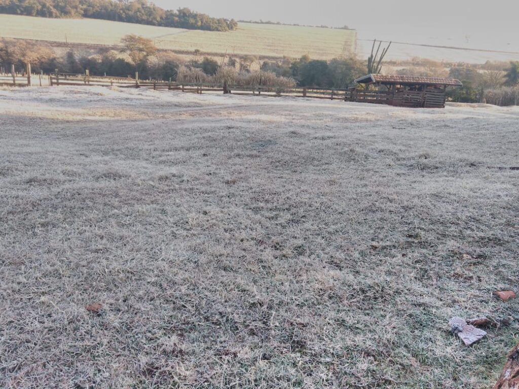 Massa polar traz frio e geada nesta semana