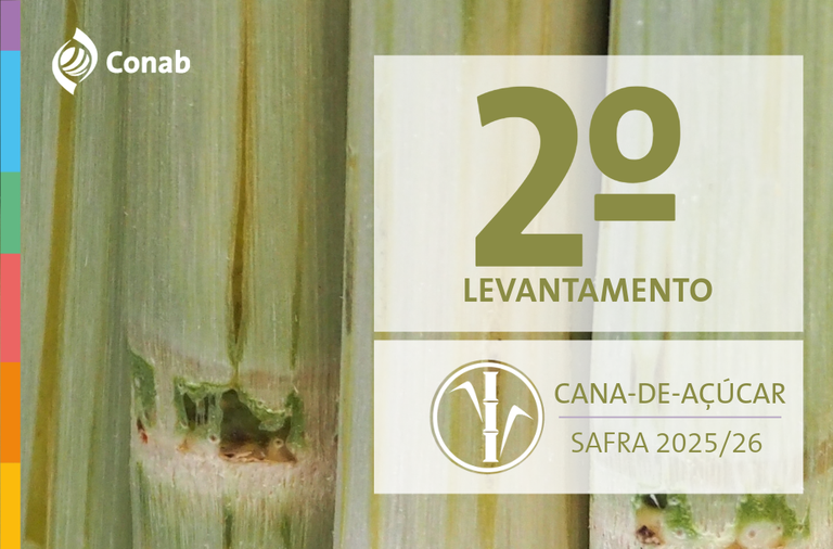 Produção de cana-de-açúcar na safra 2025/26 é atualizada para 668,8 milhões de toneladas