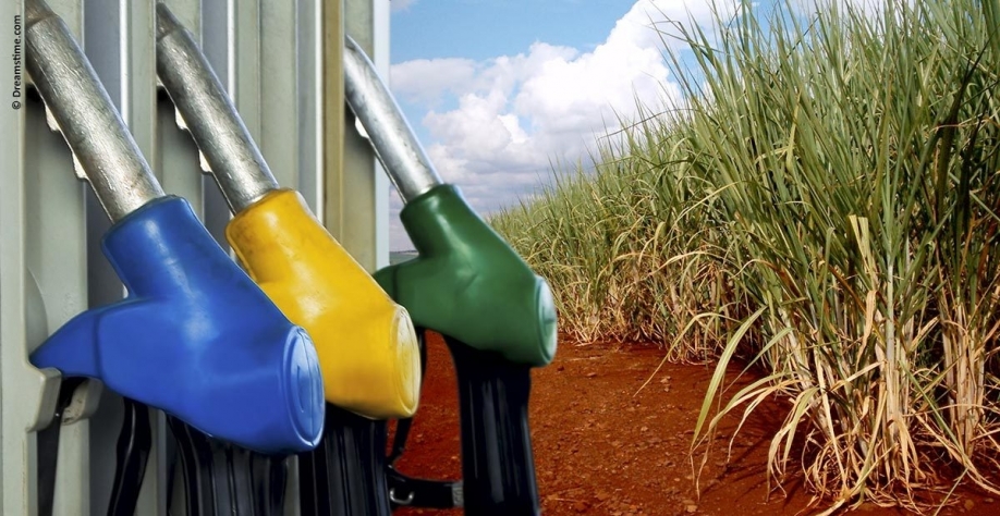 Produtor de etanol recolherá taxas federais na venda direta aos postos