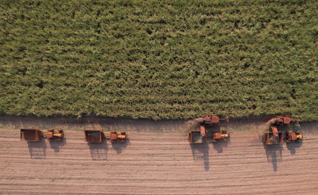 Produtividade da cana em outubro cresce 4,3% no Centro-Sul, segundo CTC