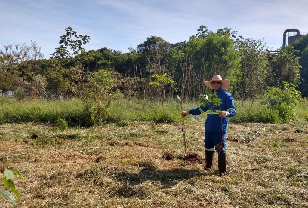 Projeto da Enersugar amplia reflorestamento na Água do Pau D’Alho